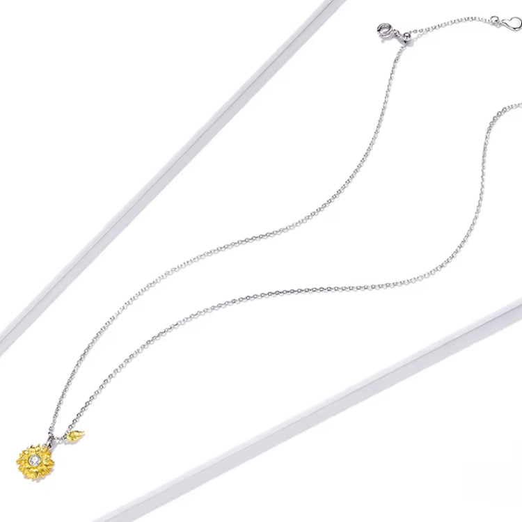Set Brillo de Girasol